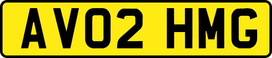 AV02HMG