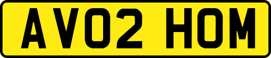 AV02HOM