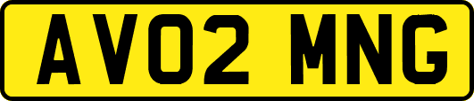 AV02MNG