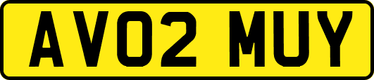 AV02MUY