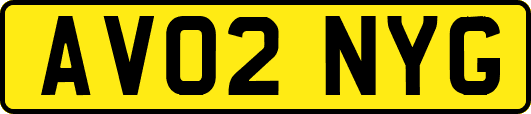AV02NYG