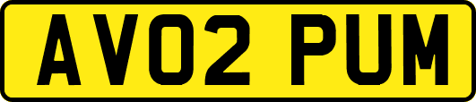 AV02PUM