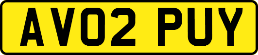 AV02PUY