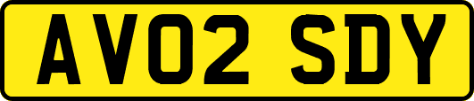 AV02SDY