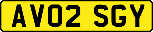 AV02SGY