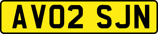 AV02SJN