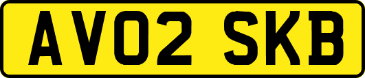 AV02SKB