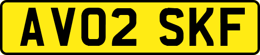 AV02SKF