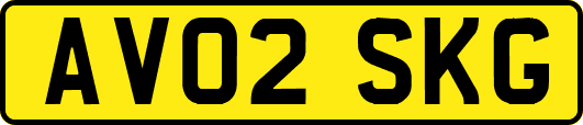 AV02SKG