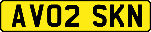 AV02SKN