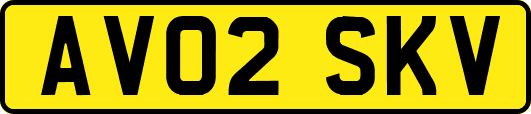 AV02SKV