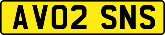 AV02SNS