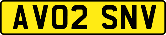 AV02SNV
