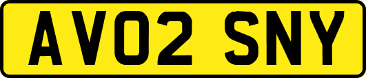 AV02SNY