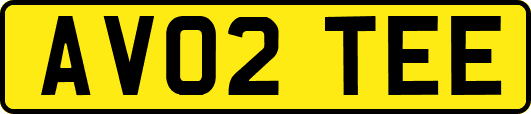 AV02TEE