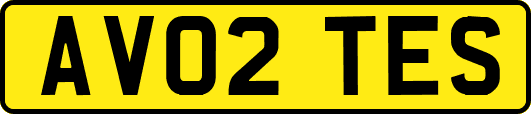AV02TES