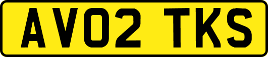 AV02TKS