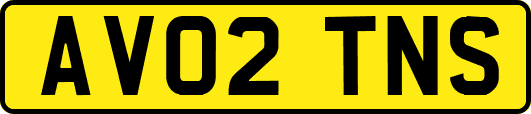 AV02TNS