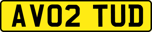 AV02TUD