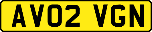 AV02VGN