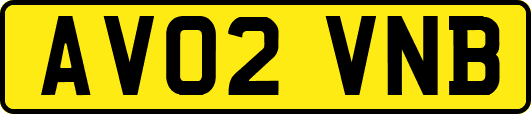 AV02VNB