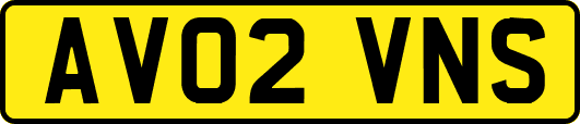 AV02VNS