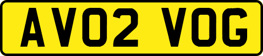 AV02VOG