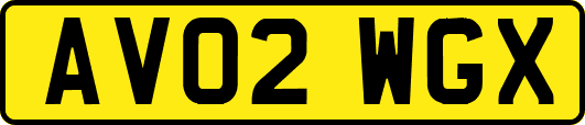 AV02WGX