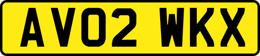 AV02WKX