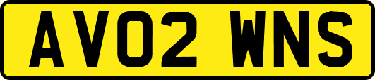 AV02WNS