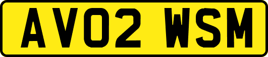 AV02WSM