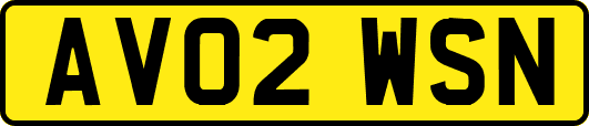 AV02WSN