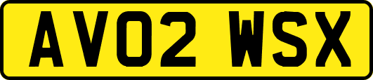 AV02WSX