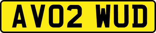 AV02WUD