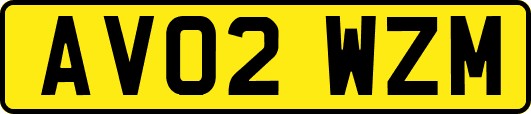AV02WZM