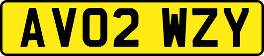 AV02WZY