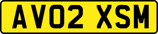 AV02XSM