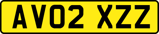 AV02XZZ