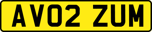 AV02ZUM