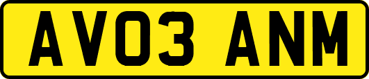 AV03ANM