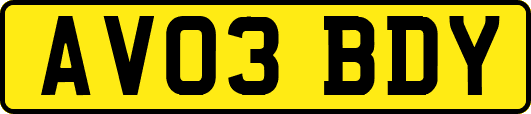 AV03BDY