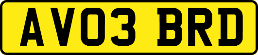 AV03BRD