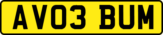 AV03BUM