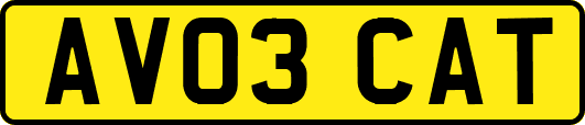 AV03CAT