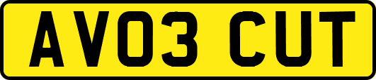 AV03CUT