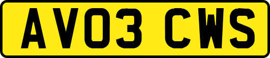 AV03CWS