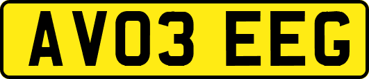 AV03EEG