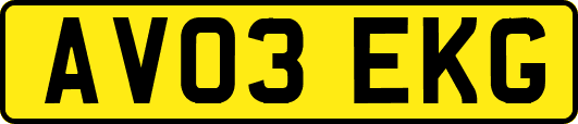 AV03EKG