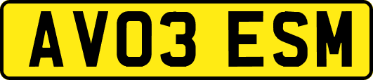 AV03ESM