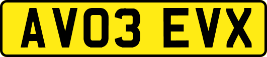 AV03EVX